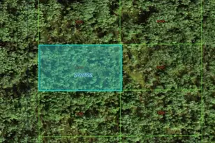 Commonwealth Ave N, Polk City, FL 33868 - Photo 1