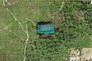 Tiger Lake Rd, Lake Wales, FL 33898 - Photo 1