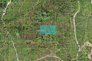 Tiger Lake Rd, Lake Wales, FL 33898 - Photo 1