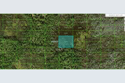 Old Grade Road, Polk City, FL 33868 - Photo 1