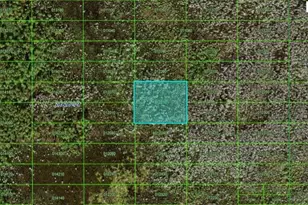 Old Grade Rd, Polk City, FL 33868 - Photo 1