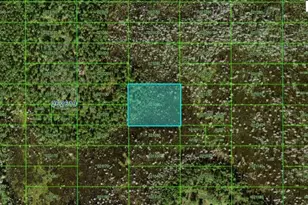 Old Grade Rd, Polk City, FL 33868 - Photo 1