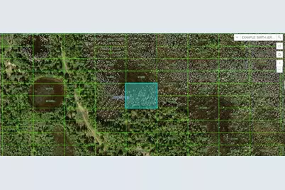 Old Grade Rd, Polk City, FL 33868 - Photo 1