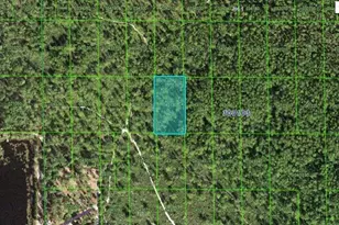 Hwy 60 E, Lake Wales, FL 33898 - Photo 1