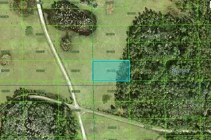 Deen Still Rd Rd, Polk City, FL 33868 - Photo 1