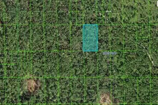 Hwy 60 E, Lake Wales, FL 33898 - Photo 1