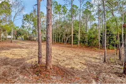 1716 E Bismark Street, Hernando, FL 34442 - Photo 9