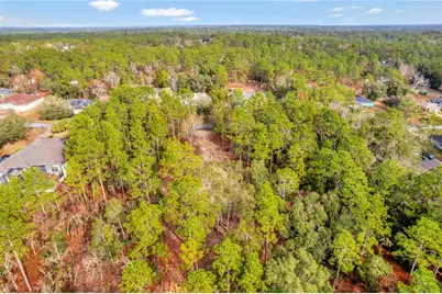 1716 E Bismark Street, Hernando, FL 34442 - Photo 19