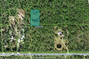 Hwy 60 E, Lake Wales, FL 33898 - Photo 1