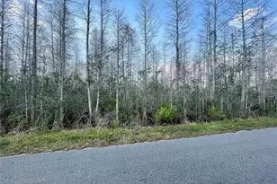 Luna Dr, Saint Cloud, FL 34773 - Photo 1