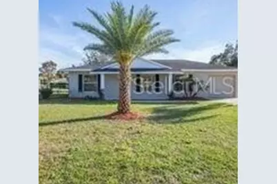 310 Dorothy Circle, Eustis, FL 32726 - Photo 1