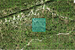River Ranch Rd, Lake Wales, FL 33898 - Photo 1