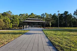 2667 Swooping Sparrow Dr, Saint Cloud, FL 34771 - Photo 49