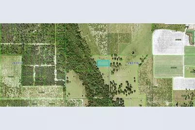 Mills Rd, Fort Meade, FL 33841 - Photo 3