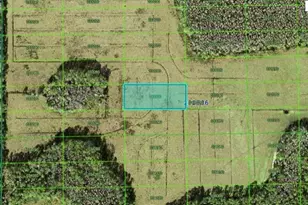 Green Pond Rd, Polk City, FL 33868 - Photo 1