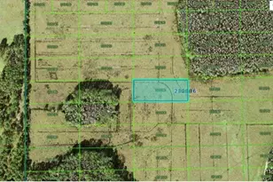 Green Pond Rd, Polk City, FL 33868 - Photo 1