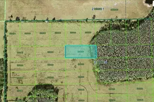 Green Pond Rd, Polk City, FL 33868 - Photo 1