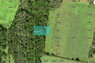 Commonwealth Ave N, Polk City, FL 33868 - Photo 1