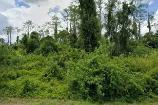 674 Stanwin Loop, Lehigh Acres, FL 33972 - Photo 1