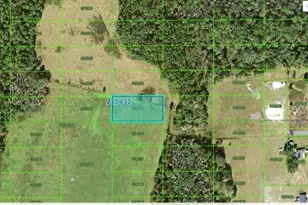 Commonwealth Ave N, Polk City, FL 33868 - Photo 1
