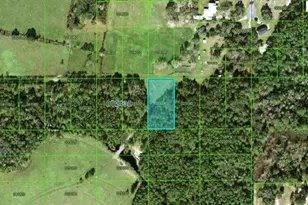 Commonwealth Ave N, Polk City, FL 33868 - Photo 1