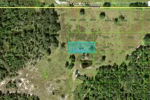 Gerber Dairy Rd, Winter Haven, FL 33880 - Photo 1