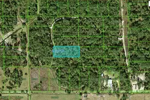 Gerber Dairy Rd, Winter Haven, FL 33880 - Photo 1
