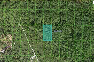Hwy 60 E, Lake Wales, FL 33898 - Photo 1