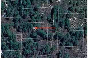 10640 Interlacher Dr, Sebring, FL 33875 - Photo 7