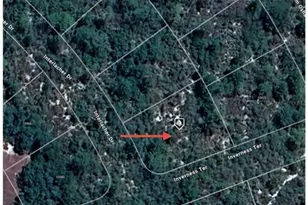 10581 Interlacher Dr, Sebring, FL 33875 - Photo 5