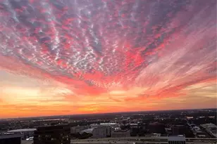 150 E Robinson St, Orlando, FL 32801 - Photo 67