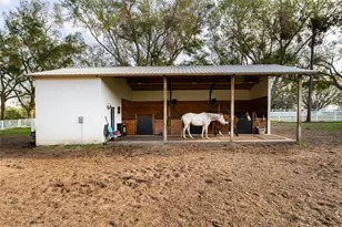 11148 Lane Park Rd, Tavares, FL 32778 - Photo 51