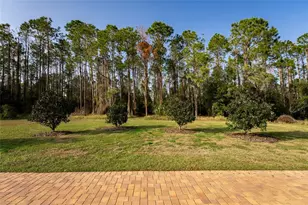 11148 Lane Park Rd, Tavares, FL 32778 - Photo 57