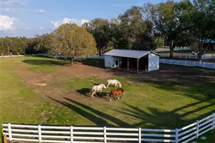 11148 Lane Park Rd, Tavares, FL 32778 - Photo 41