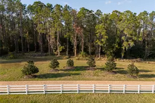 11148 Lane Park Rd, Tavares, FL 32778 - Photo 55