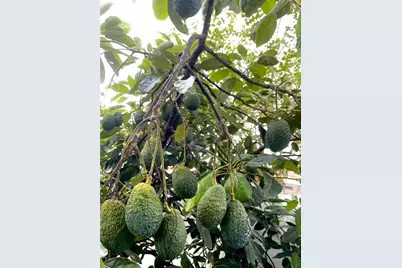 1354 Tierra Circle, Winter Park, FL 32792 - Photo 29