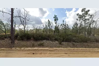 1137 Twin Lakes Boulevard, Interlachen, FL 32148 - Photo 3