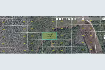 Dill Road Road, Orlando, FL 32820 - Photo 1