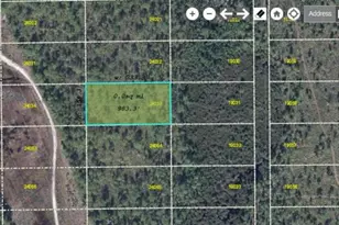 Dill Rd, Orlando, FL 32820 - Photo 1