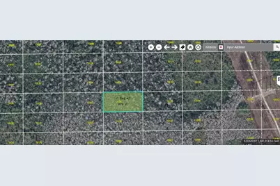 Dill Road, Orlando, FL 32820 - Photo 1