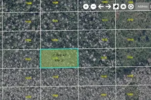 Dill Rd, Orlando, FL 32820 - Photo 1