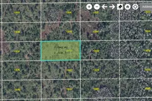 Dill Rd, Orlando, FL 32820 - Photo 1