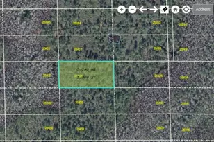 Dill Rd, Orlando, FL 32820 - Photo 1