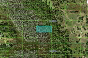 Old Grade Rd, Polk City, FL 33868 - Photo 1