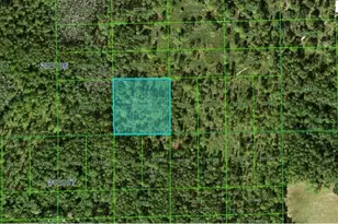 Green Pond Rd, Polk City, FL 33868 - Photo 1