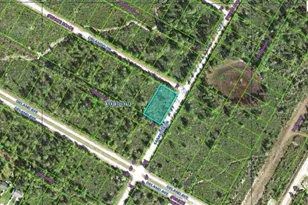 Orlando Dr, Indian Lake Estates, FL 33855 - Photo 1