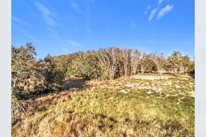 15437 Pendio Drive, Montverde, FL 34756 - Photo 31