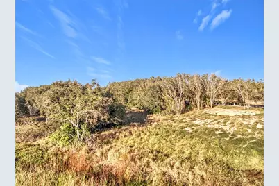 15437 Pendio Drive, Montverde, FL 34756 - Photo 19