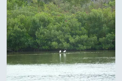 295 E Ariel Road, Oak Hill, FL 32759 - Photo 25