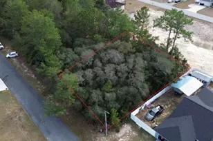 SW 151 St Pl, Ocala, FL 34473 - Photo 1